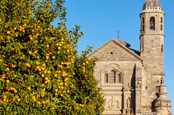 Sistine chapel visit: essential ticket information you need